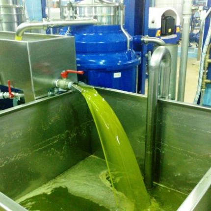 Στα €2.80 έριξε την τιμή του ελαιολάδου η ΕΑΣΗ- Ιταλικές πιέσεις στο προϊόν 