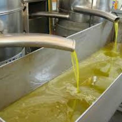 "Φάρμακο" το ελαιόλαδο δείχνει 5ετής έρευνα