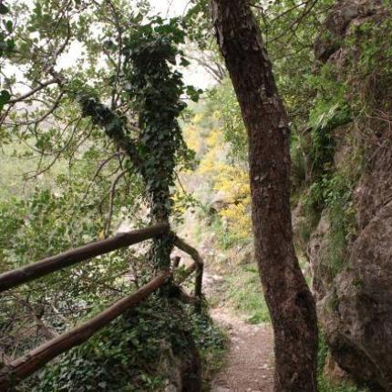 Ξεκινά η λειτουργία του Λαογραφικού και Γεωλογικού Μουσείου στο Ζαρό