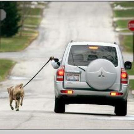 Η τεχνολογία στην υπηρεσία της ... βαρεμάρας!