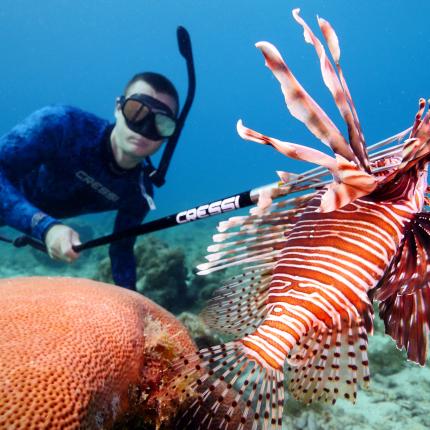 lionfish.jpg