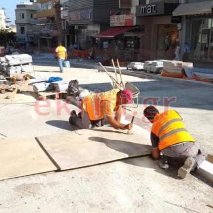 μαυροδέλφινα νέα ζηλανδία