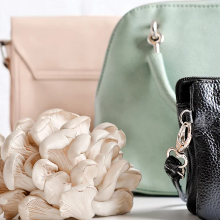 δέρμα μανιτάρια