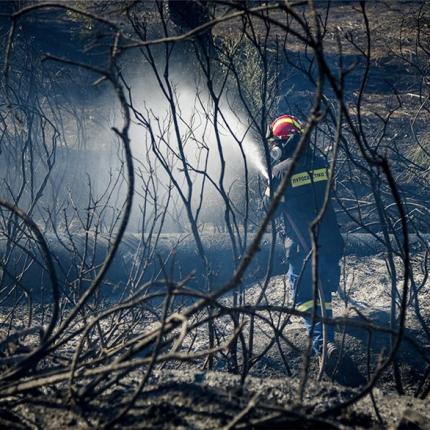 φωτια πυρκαγια.jpg