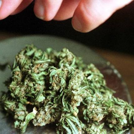  Η μαριχουάνα φέρνει αϋπνία 