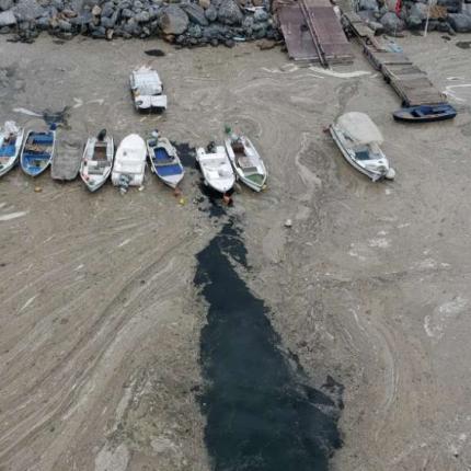 Η βλέννα στη θάλασσα του Μαρμαρά