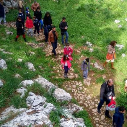 πολύκεντρο9