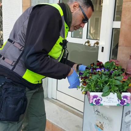 μενουμε σπίτι-γλαστράκια