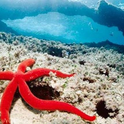 Οι μαθητές με τα ... μαύρα - Απόψε στην πλατεία Ελευθερίας για τα χημικά