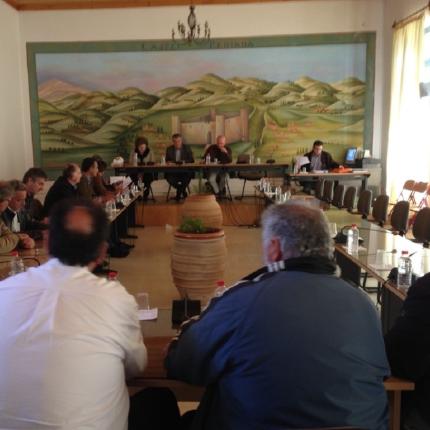 δημος μινωα πεδιαδος