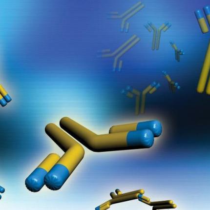 μονοκλωνικά αντισώματα