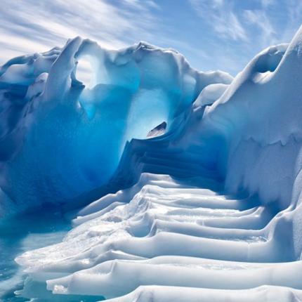 ανταρκτικη