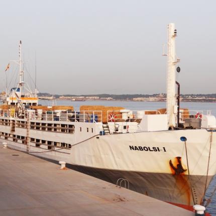 nabolsi2.jpg