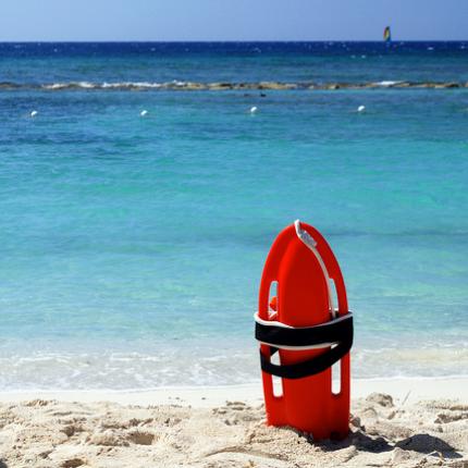 ναυαγοσωστης