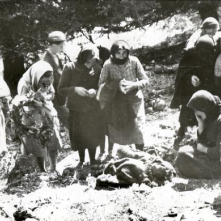 "Κατεστραμμένες πόλεις και χωριά της Ελλάδας επί Κατοχής": Μία Βίβλος για τη ναζιστική βαρβαρότητα