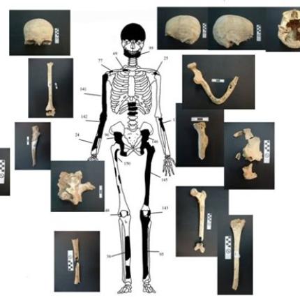 'Ολγα Παλαγγιά: "Αλλοι δέκα νεκροί είναι θαμμένοι στην Αμφίπολη"