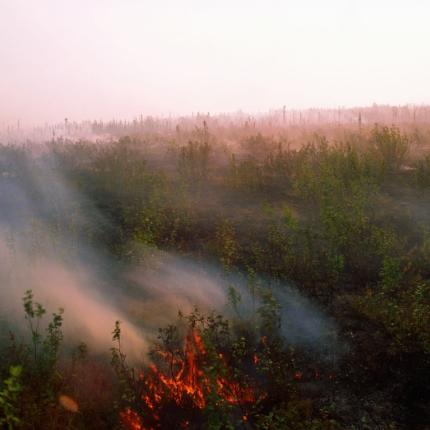 φωτιά χωράφι