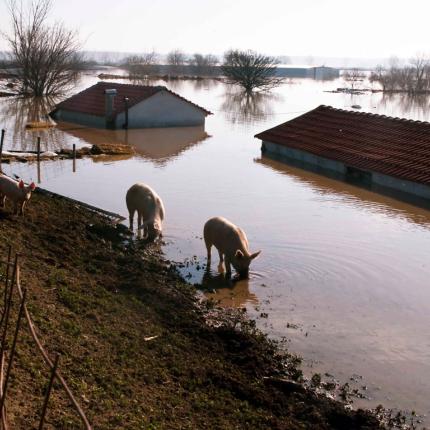 Υποχωρεί η στάθμη του Έβρου - Σε επιφυλακή παραμένουν οι αρχές