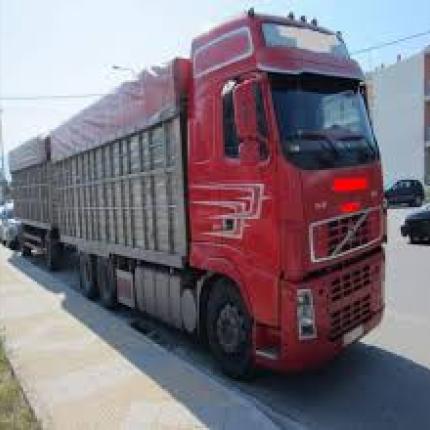 Νταλίκα - Μετανάστες