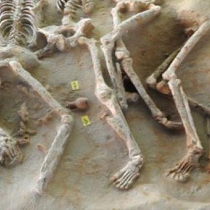 omadikos-tafos-sto-faliriko