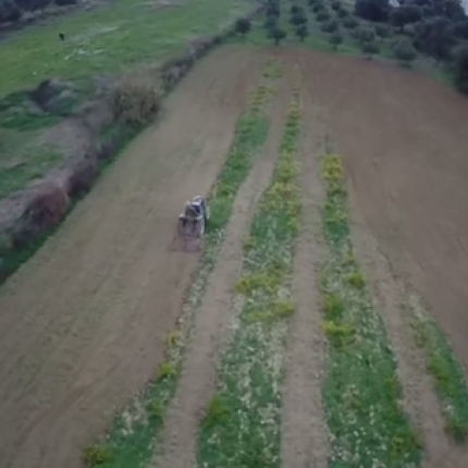 Το όργωμα των χωραφιών στο Ηράκλειο ... από ψηλά (βίντεο)