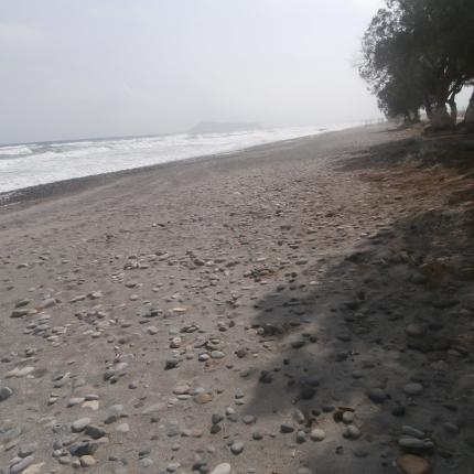 παραλια δημος πλατανια