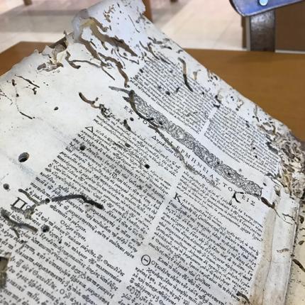 παλαίτυπα βικελαία