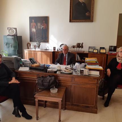 palia_poli_f1.jpg