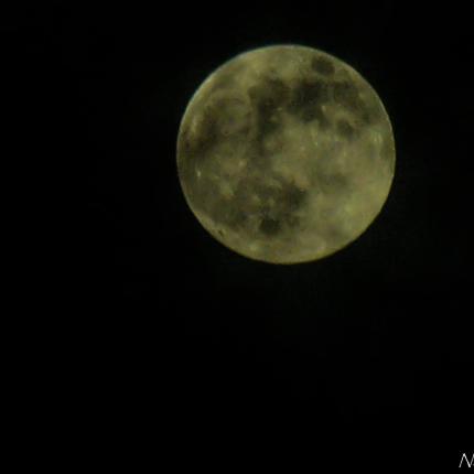 πανσέληνος