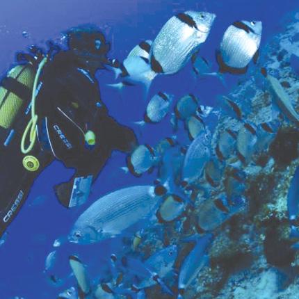 Καταδυτικό Πάρκο Μονοναύτη