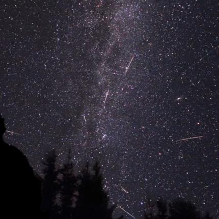 Βροχή αστεριών από τον αστερισμό της... Καμηλοπάρδαλης!