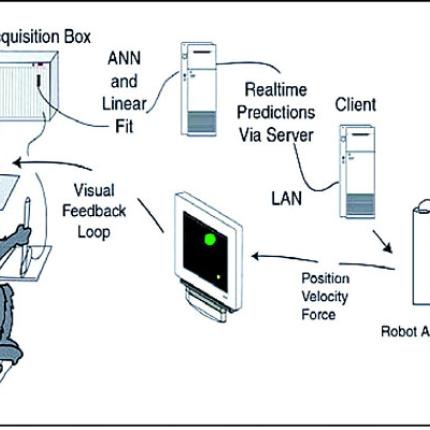 Το πείραμα «βουντού» δίνει ελπίδες σε παράλυτους