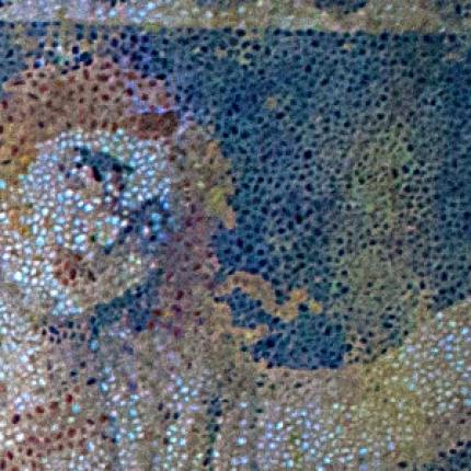 Αμφίπολη: Αποκαλύφθηκε η Περσεφόνη στο ψηφιδωτό