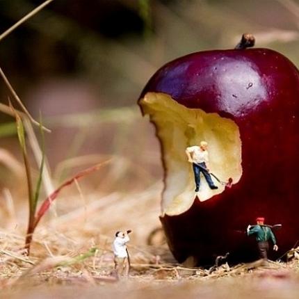 Τέχνη με μικροσκοπικούς ανθρώπους πάνω σε φαγητά! (φωτογραφίες)