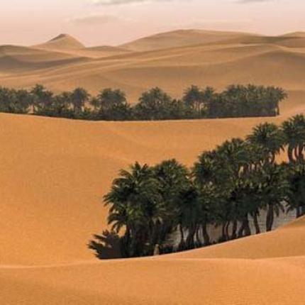 Ξανά ζωή στην έρημο Καλαχάρι από τις γεωτρήσεις