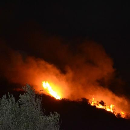 φωτια Φαλασαρνα