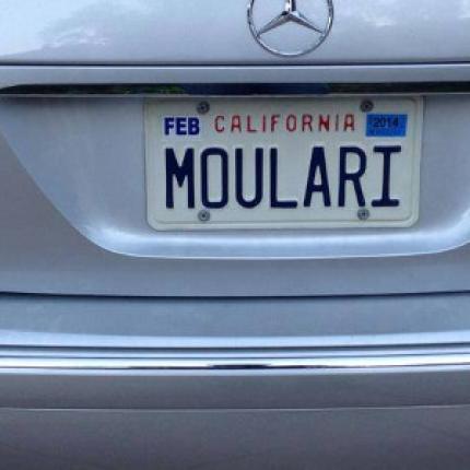 Ευφάνταστες πινακίδες αυτοκινήτων από ομογενείς