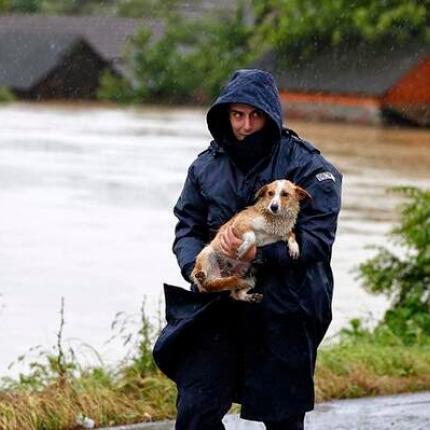 Σερβία: Αρωγή στα ζώα που επλήγησαν από τις πλημμύρες