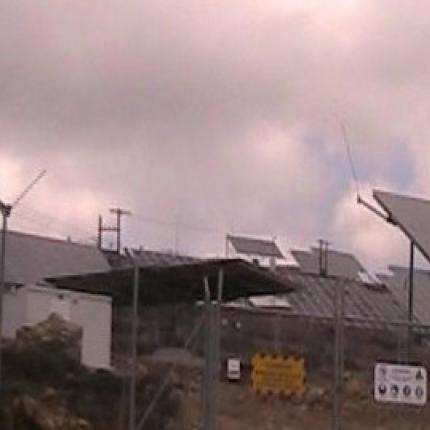 σίτανος σητείας