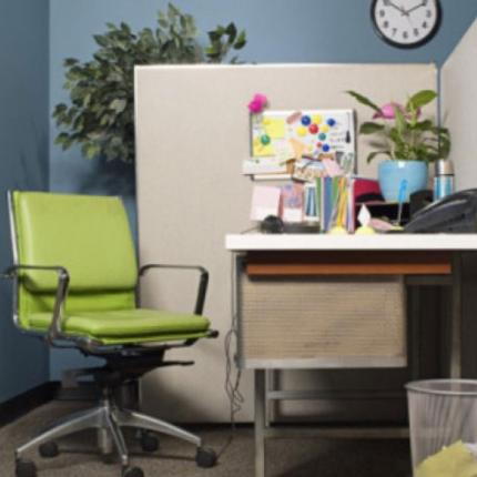 Τα φυτά στο γραφείο αυξάνουν την παραγωγικότητα των εργαζομένων