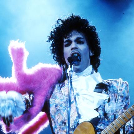 prince-74291908.jpg