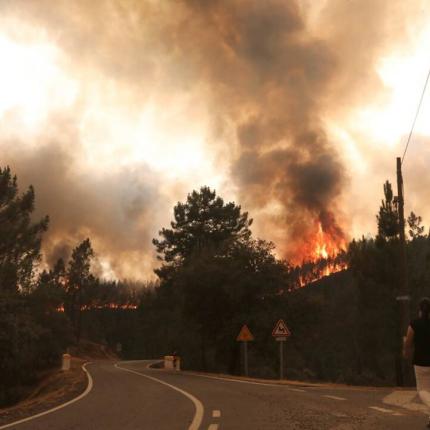 ΠυρκαγιάΠορτογαλία