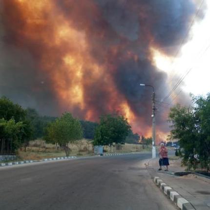 Πυρκαγιές στην Ιταλία