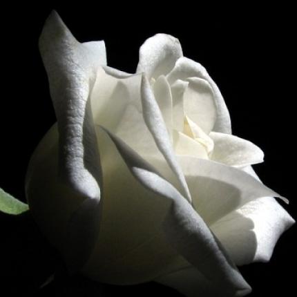 Συλλυπητήρια της Ηράκλειας Πρωτοβουλία στις οικογένειες Κοκκαράκη και Κατεργιαννάκη