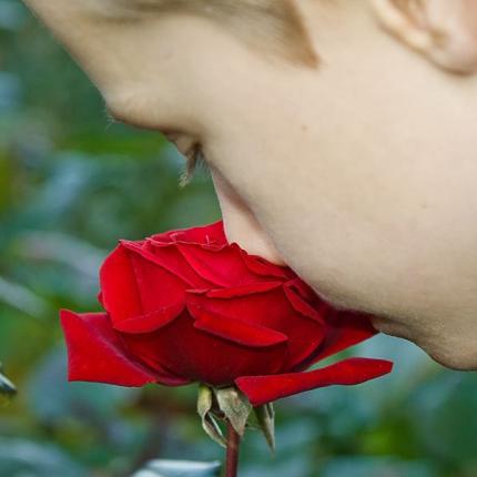 παιδι μυρίζει τριαντάφυλλο
