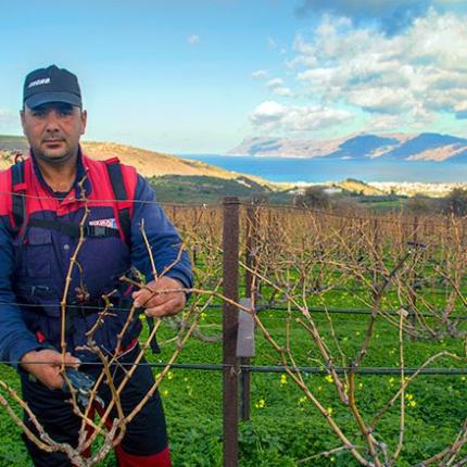 σχοινοπλοκάκης