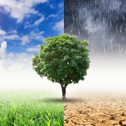 Κλιματική αλλαγή