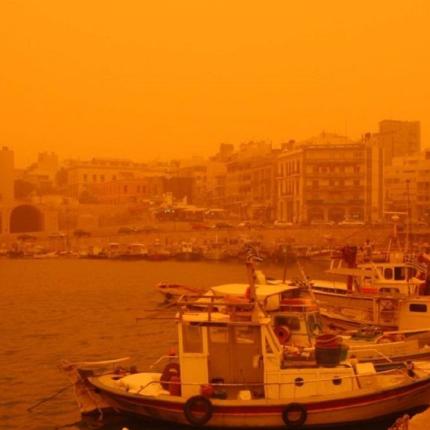 skoni_afriki-1021x576.jpg