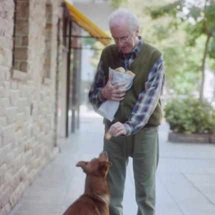 σκυλι ωμο κρεας