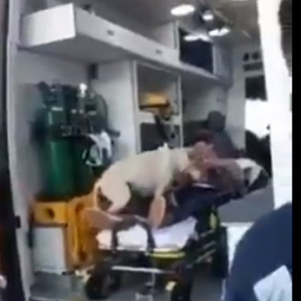 σκύλος φορείο